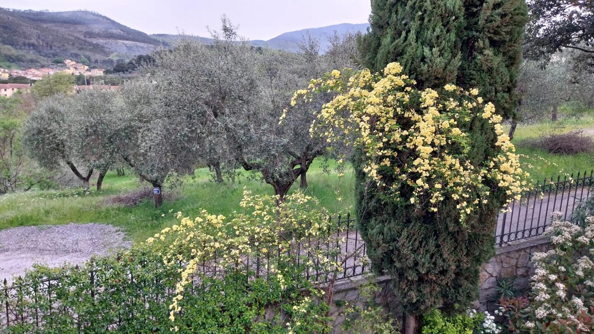 Villa Salviati Prato  Exterior foto